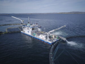 https://neptuneamericas.com/